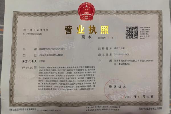臻晖国际旅行社营业执照 臻晖国际旅行社营业执照